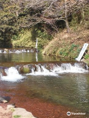 Susono Fishing Park