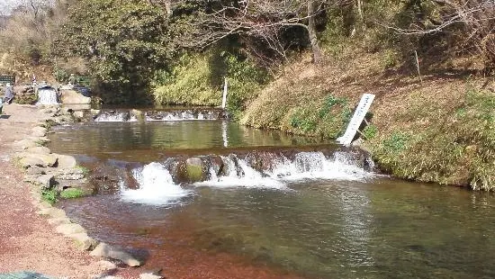 Susono Fishing Park