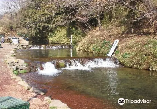 Susono Fishing Park