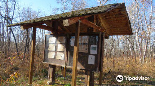 Clifford E. Lee Nature Sanctuary