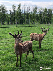 Rolling Hills Red Deer Farm