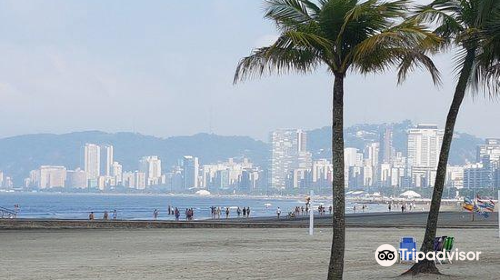 Aparecida Beach