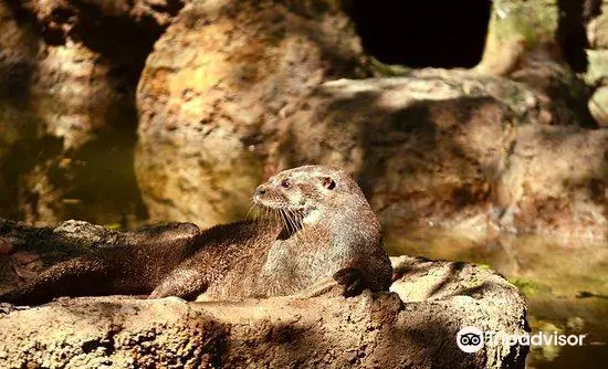 Zoologico de Barranquilla