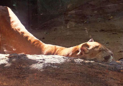 Zoo of the city of Barranquilla