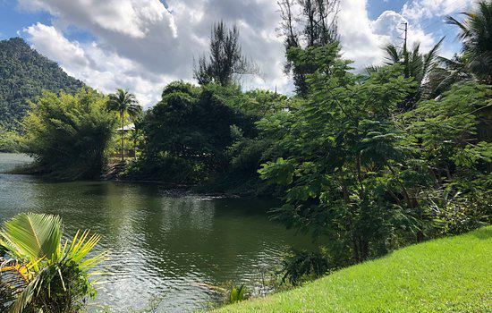 Lake Dos Bocas