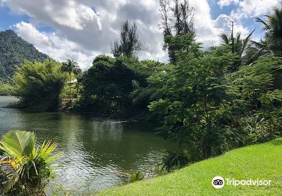 Lake Dos Bocas