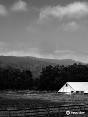 Heidrun Meadery