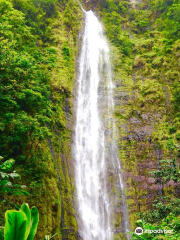 Waimoku Falls