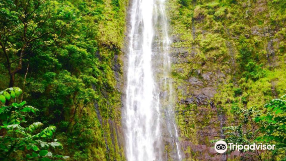 Waimoku Falls