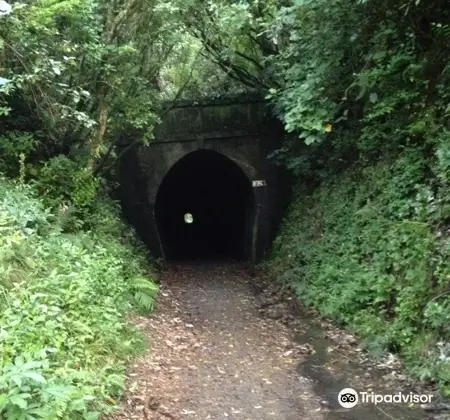 Tunnel Gully