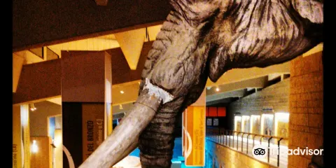 國立舊石器時代博物館