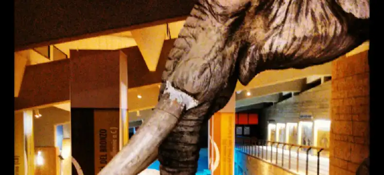 伊塞爾尼亞省酒店