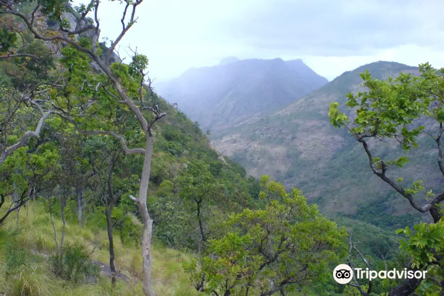 Sathuragiri Hills