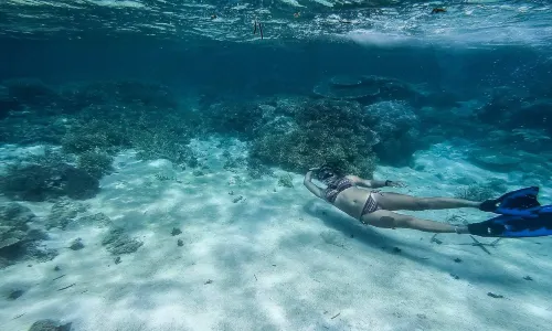 Scuba Diving in Palawan