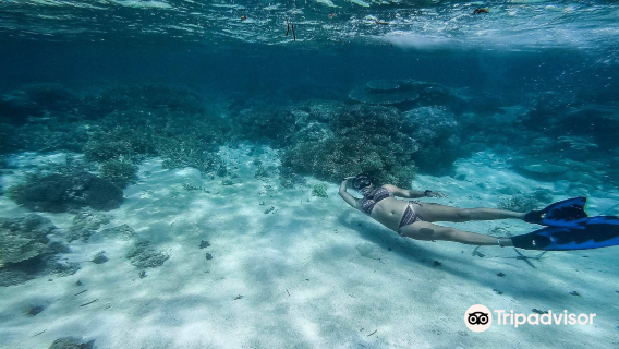 Scuba Diving in Palawan