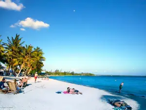 Peninsula de Zapata National Park