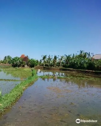 2_Umabali Traditional Spa
