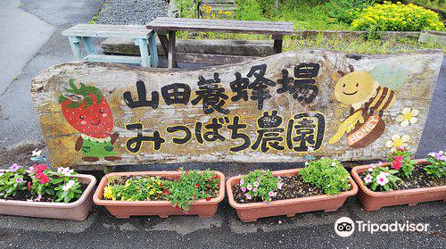 Mitsubachi Nouen (Yamada Honeybee Farm)