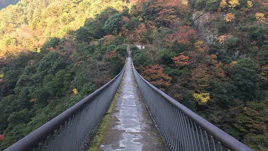 Supension Bridge, Umenoki Todoroki Park