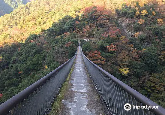 Supension Bridge, Umenoki Todoroki Park