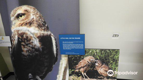 Burrowing Owl Interpretive Centre