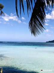 Giant Clam Sanctuary