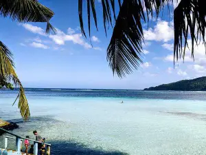 Giant Clam Sanctuary