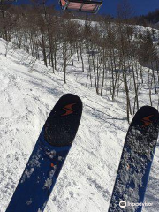 Central Snowsports Hakuba