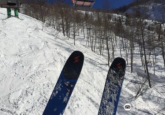 Central Snowsports Hakuba