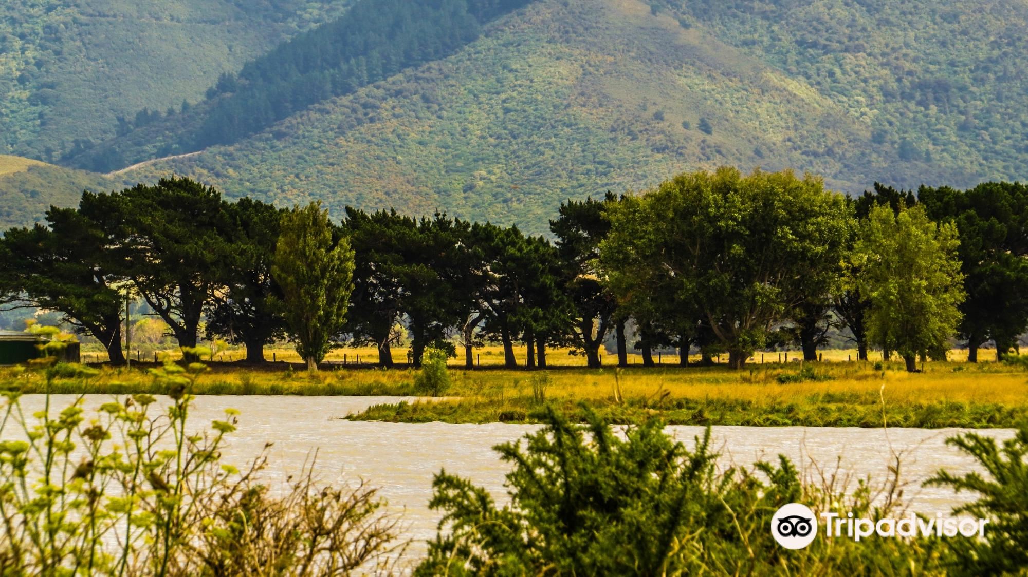 10 Best Things to do in South Wairarapa District, Wellington South