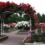Togashi Rose Garden