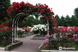 Togashi Rose Garden