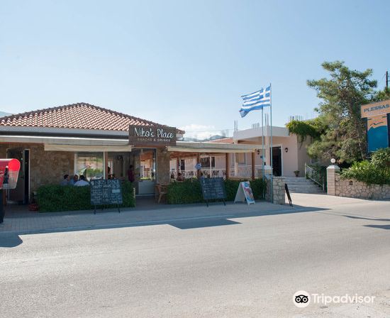 Hotel Plessas Palace