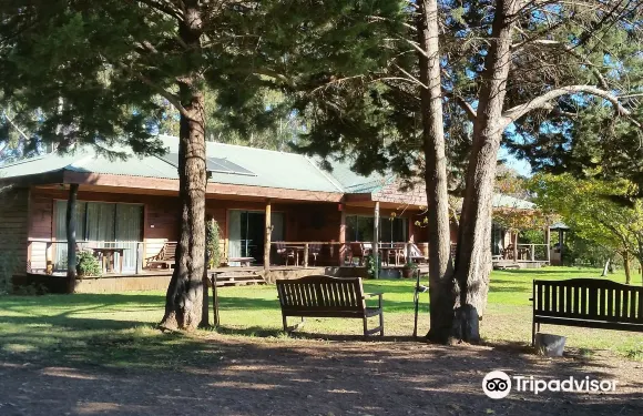 拉齊河精品住宿加早餐酒店