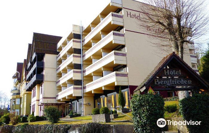 Hotel Bergfrieden