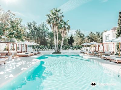 Hotel Boutique & Spa Las Mimosas Ibiza
