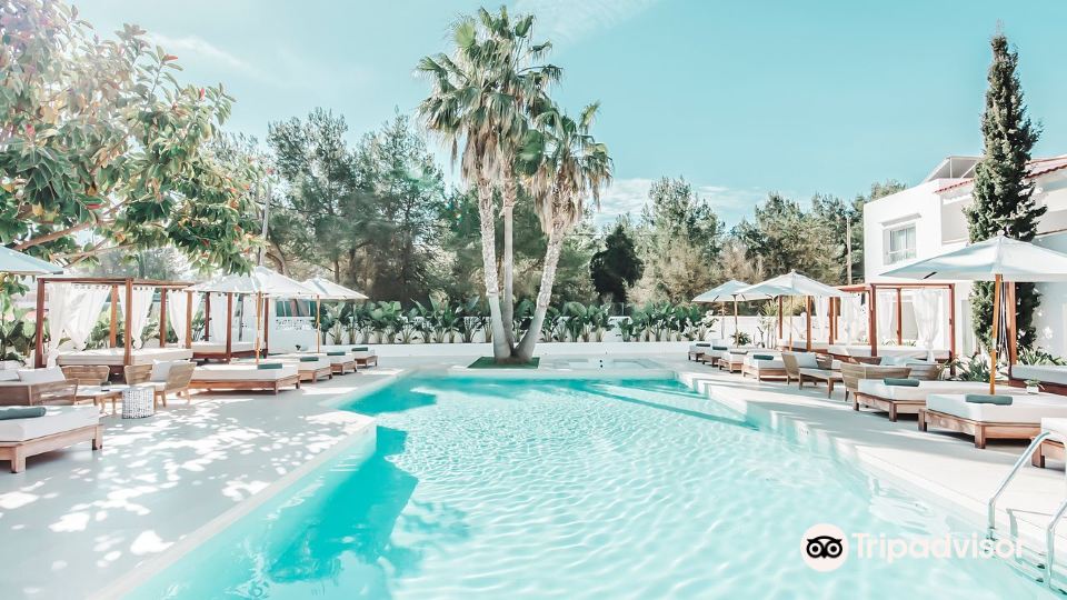 Hotel Boutique & Spa Las Mimosas Ibiza