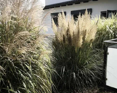 Georgenhof 代根多夫酒店