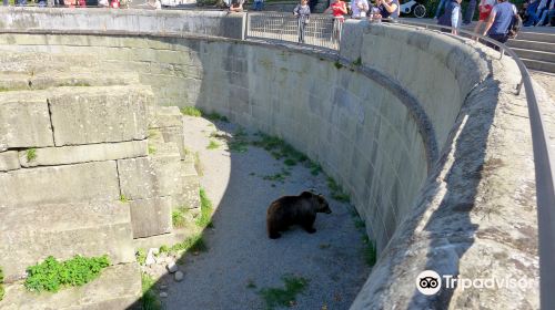 伯爾尼熊公園