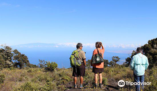 Kona Historical Society Offices