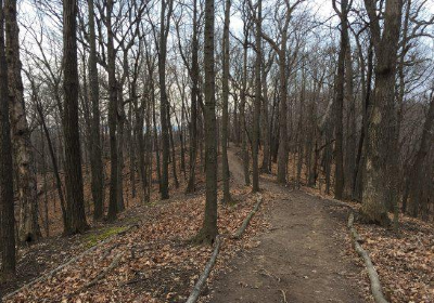 Forest Park Nature Center