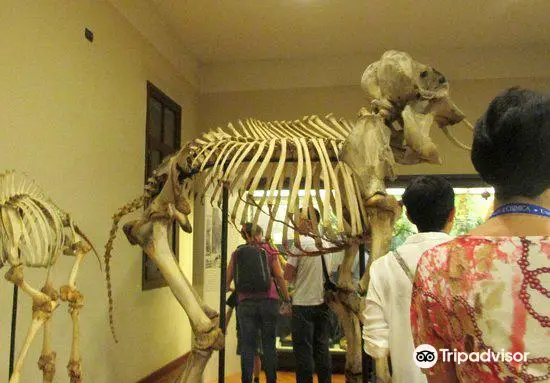 Museum of Zoology