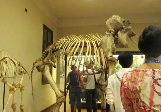 Zoological Museum 주변 호텔