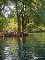 Parque Nacional Lago de Camecuaro