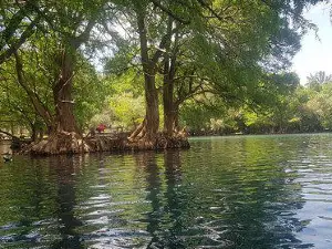 Parco nazionale del Lago de Camécuaro