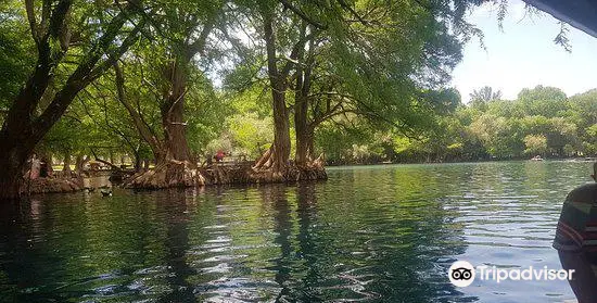 Parque Nacional Lago de Camecuaro