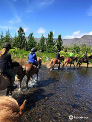 Hradastadir Horse Riding & Farm