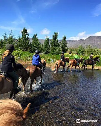 Hradastadir Horse Riding & Farm