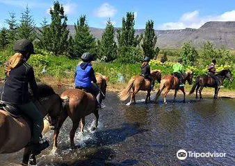 Hradastadir Horse Riding & Farm