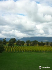 Rochford Wines Yarra Valley